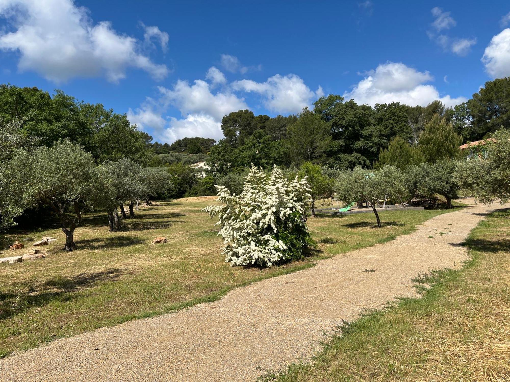 Gite Le Mas Des Oliviers Draguignan Buitenkant foto