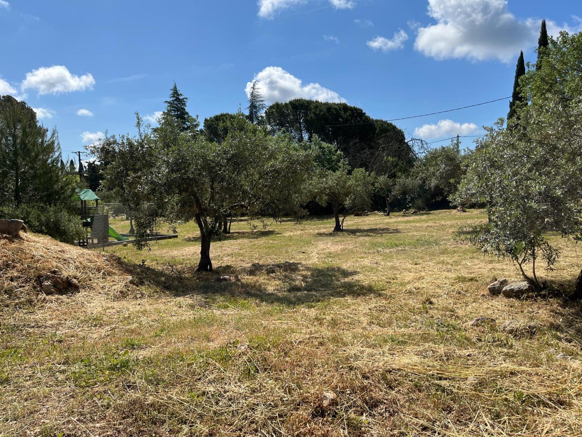 Gite Le Mas Des Oliviers Draguignan Buitenkant foto