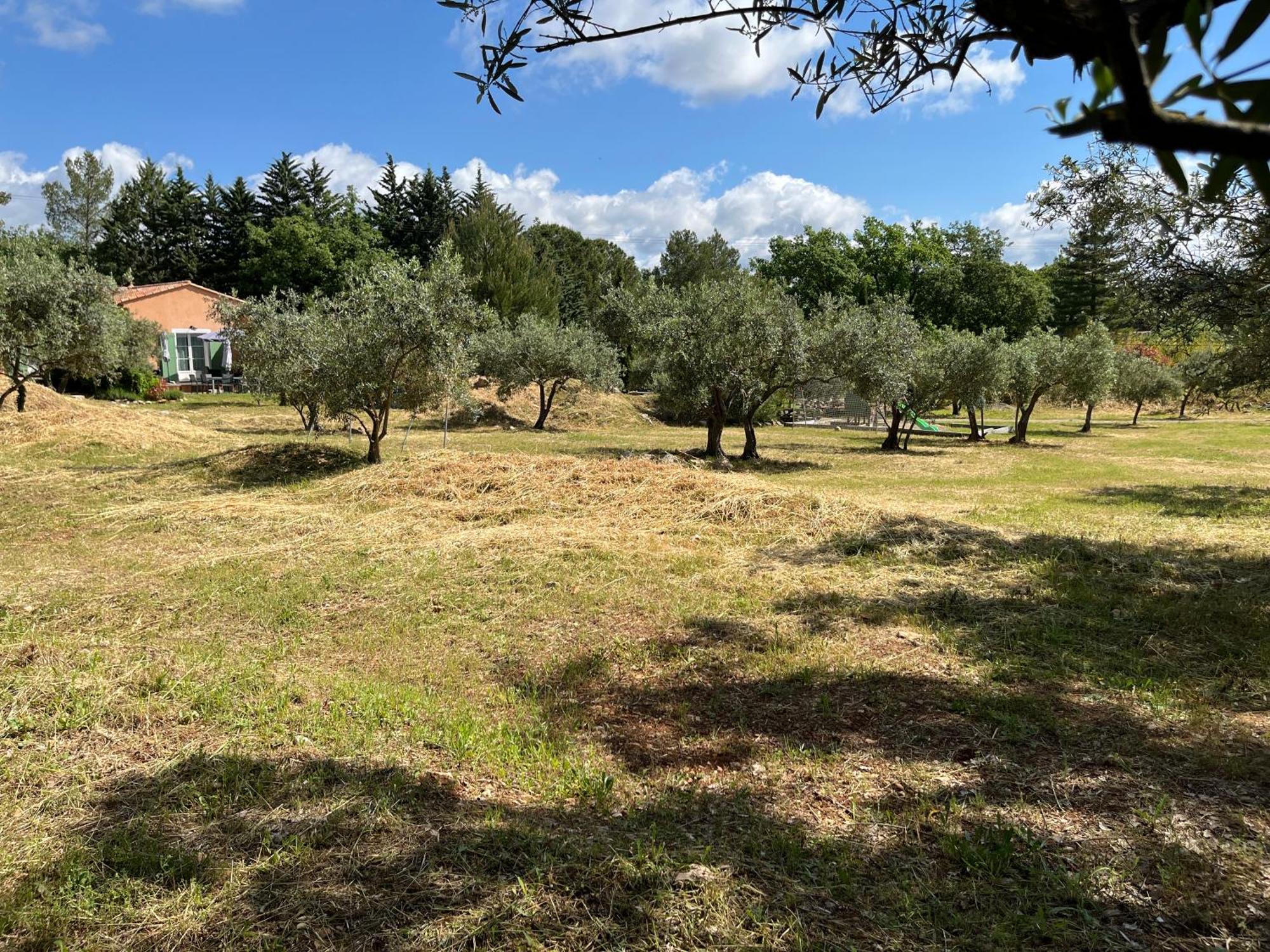 Gite Le Mas Des Oliviers Draguignan Buitenkant foto